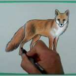 Neue Version Wie Zeichnet Man Einen Fuchs Zeichnen Für Kinder