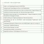 Original 1 Checkliste Vorlage Projektbeschreibung Und Finanzplan