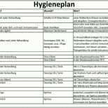 Original 12 Hygieneplan Vorlage