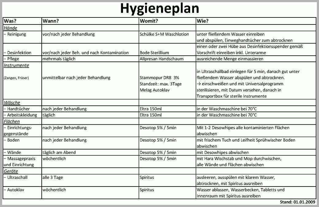 Original 12 Hygieneplan Vorlage