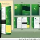 Original Broschüre Design Vorlage — Stockvektor © Miobra
