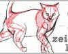 Original Katzen Zeichnen Archives Gedankenfreier Fall
