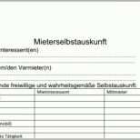 Original Mieter Selbstauskunft formular Download