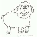 Perfekt Ausmalbilder Schaf Tiere Zum Ausmalen Malvorlagen Schafe