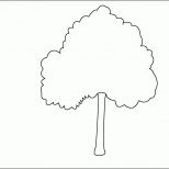 Phänomenal Ausmalbilder Baum Kostenlos Malvorlagen Zum Ausdrucken