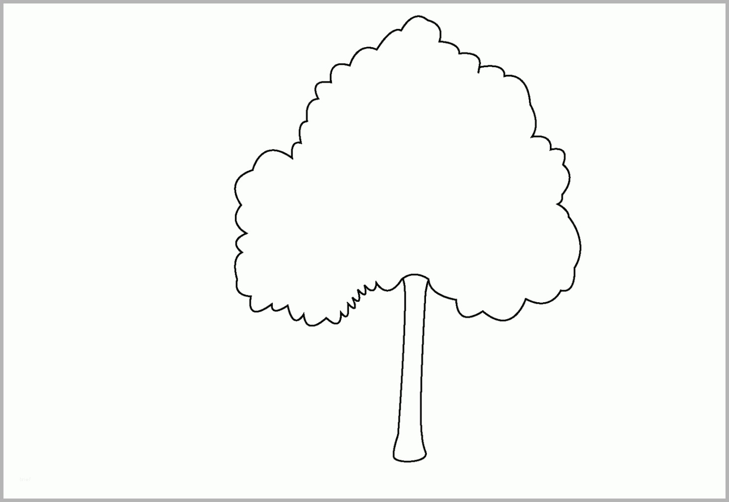 Phänomenal Ausmalbilder Baum Kostenlos Malvorlagen Zum Ausdrucken