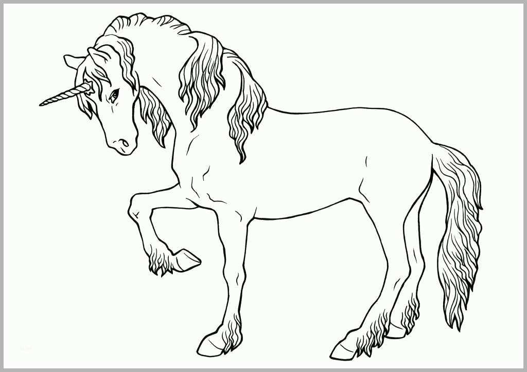 Phänomenal Einhorn Window Color Window Color Malvorlagen Filly Pferde