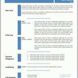 Phänomenal Lebenslauf Vorlage In Der Tabelle Blau Cv &amp; Bewerbung
