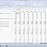 Selten Business Plan In Excel Lezione 1
