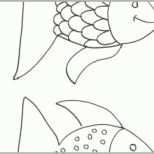 Selten Fische Schablonen Ausdrucken 1059 Malvorlage Fische