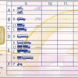Selten Führerschein Kartenelemente