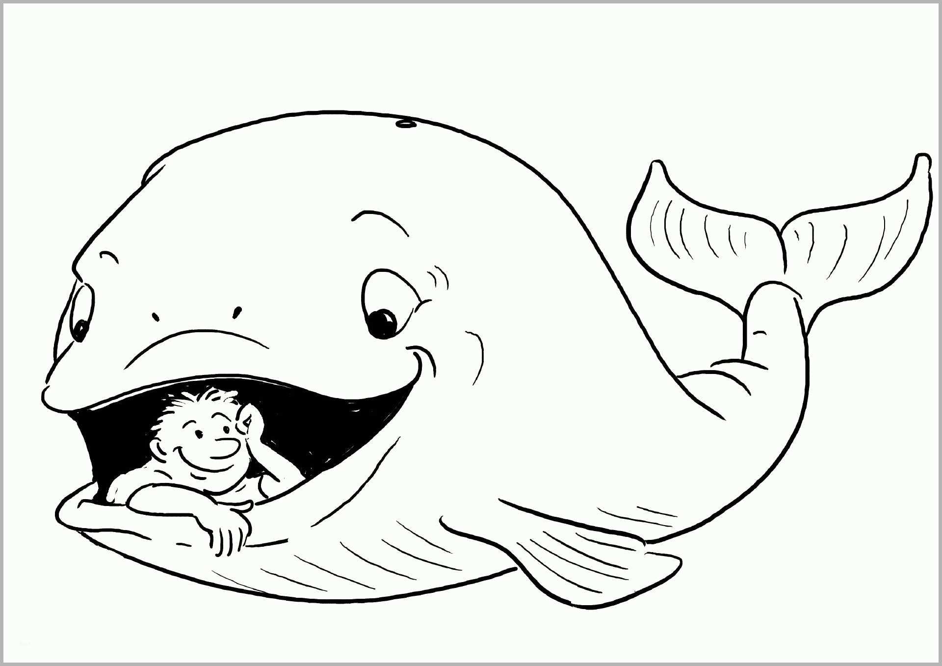 Selten Jona Im Wal Ausmalbilder Jonah In the Whale Coloring Pages