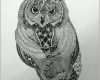 Sensationell Creamanufaktur Zentangle Zeichnungen Owls