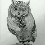 Sensationell Creamanufaktur Zentangle Zeichnungen Owls