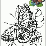 Spektakulär Blumen Vorlagen 1 butterfly Coloring