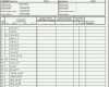Spektakulär Vda Label Excel Vorlage Luxus Lastenheft Vorlage Excel