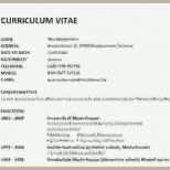 Spezialisiert Lebenslauf Englisch Vorlage Erstaunlich 5 Curriculum Vitae