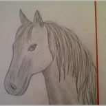 Spezialisiert Zeichnen Lernen Für Anfänger Pferd Malen Pferdeportrait