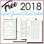 Tolle 2018 Bullet Journal Setup Free Printable