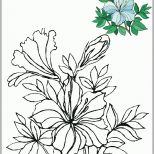 Tolle Blumen Vorlagen 1 Embroidery Pinterest