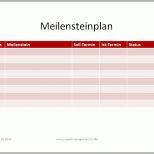 Tolle Projektmanagement24 Blog Meilensteinplan