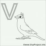 Tolle Tiere Malen Vorlagen Süß Vogel Ausmalbild Buchstaben Malen