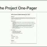 Unvergesslich Project Summary Template