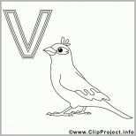 Unvergesslich Vogel Ausmalbild Buchstaben Malen Vorlagen