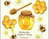 Unvergleichlich Honig Etiketten Vorlagen Kostenlos Neu Eierlikör — Rezepte
