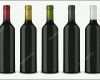 Unvergleichlich Set 5 Realistische Vektor Schwarzen Flaschen Wein Ohne