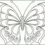 Wunderschönen Schmetterling Malvorlage 04 Vorlagen Zeichnen