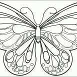 Wunderschönen Schmetterlinge Zum Ausdrucken Malvorlagentv